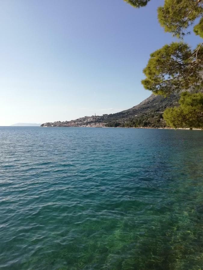 Apartment Villa Bajna ซิโวกอสเชีย ภายนอก รูปภาพ